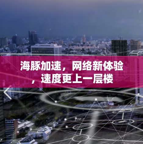 海豚加速,网络新体验,速度更上一层楼 海豚加速,网络新体验,速度更上一层楼