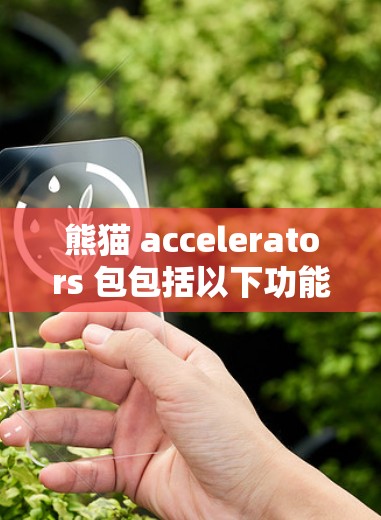 熊猫 accelerators 包包括以下功能 熊猫 accelerators 包包括以下功能