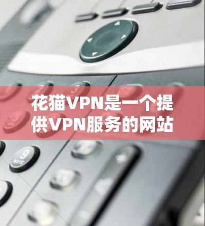 花猫VPN是一个提供VPN服务的网站，旨在帮助用户连接更安全的互联网。以下是对花猫VPN的详细介绍