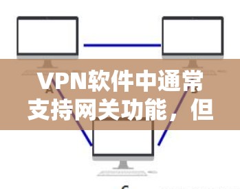 VPN软件中通常支持网关功能，但具体要求取决于软件类型。以下是一些常见的VPN软件配置指导