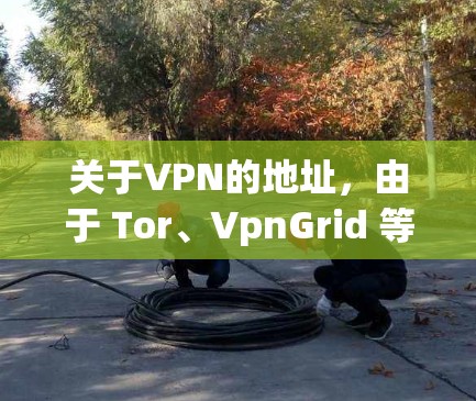 关于VPN的地址，由于 Tor、VpnGrid 等网络资源的地址可能会随时间变化，我无法提供实时的网络资源地址。以下是一些常见的 Tor 和 VPN 的网站地址，供您参考